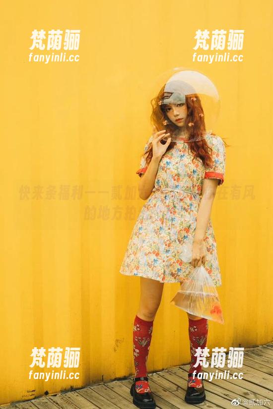 贰加六 快来条福利——贰加六的图包让你在有风的地方拍出故事!